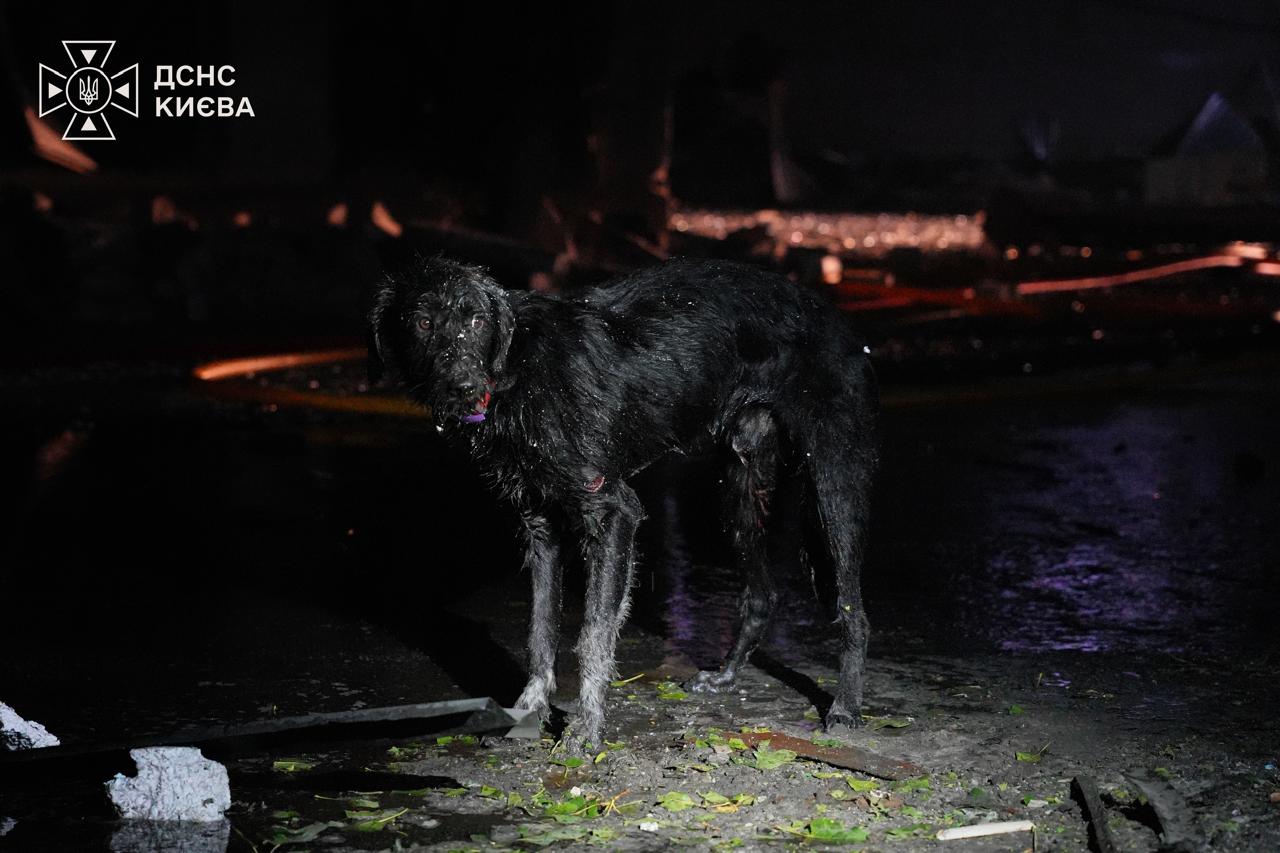 Russia massively strikes Ukraine's Kyiv, Boryspil, and Odesa, leaving killed and injured